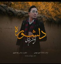 دانلود آهنگ جدید امین مومنی به نام دلشوره